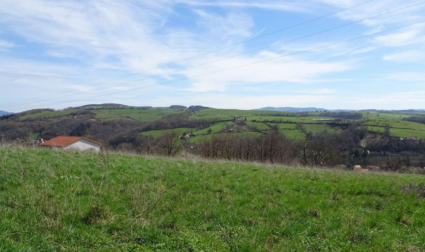 Le terrain du Bois Dieu