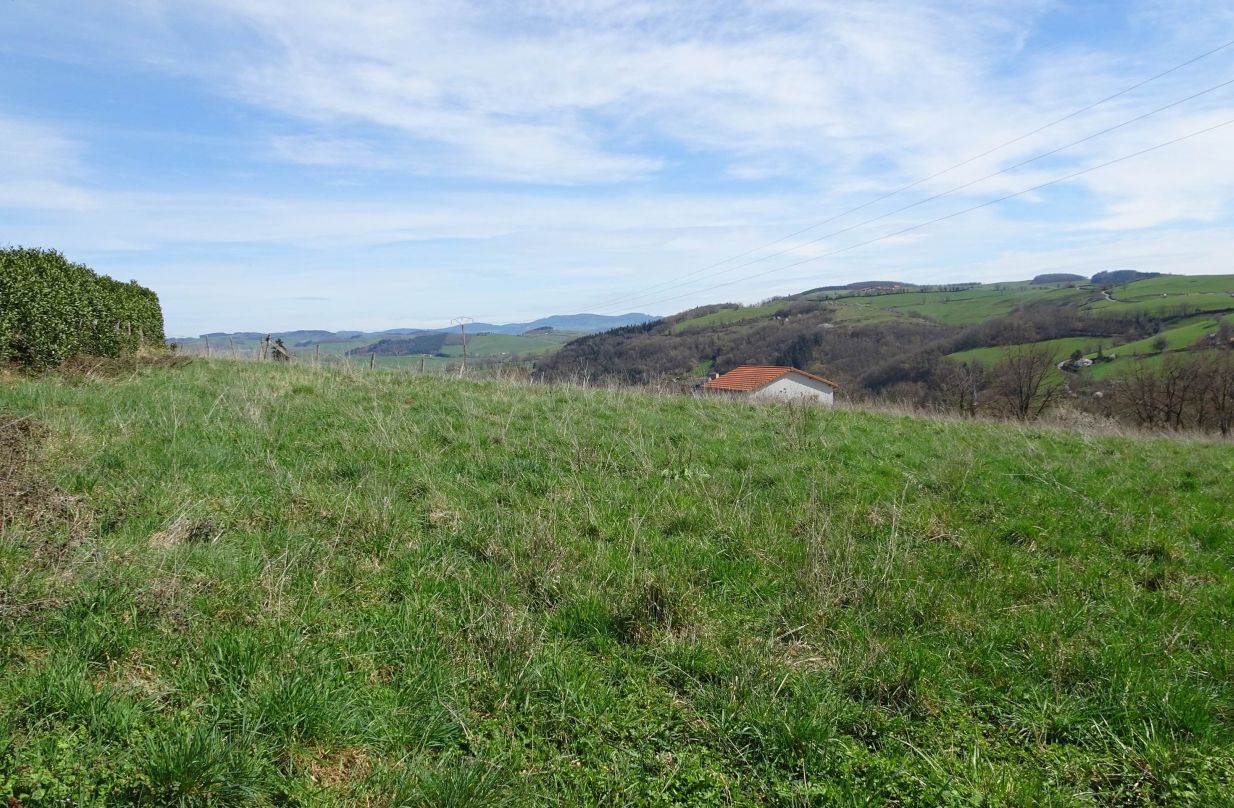 Le terrain du Bois Dieu, vue dégagée