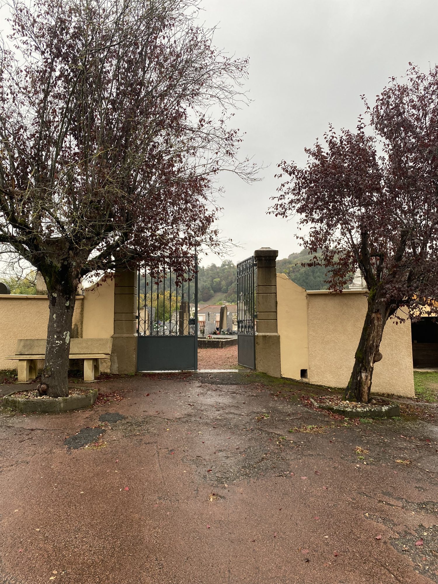 L’allée bordée d’arbres menant au cimetière