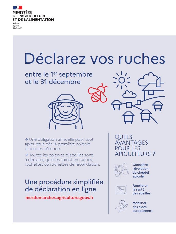 Déclarez vos ruches entre le 1er septembre et le 31 décembre : une obligation annuelle pour tout apiculteur